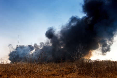 Wildfire with black smoke in the field with dry grass.の写真素材