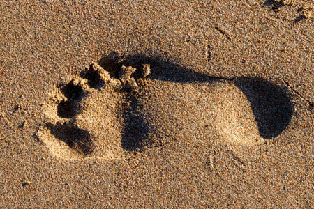 Close-up of single footprint on the sand beach
