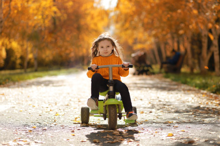 Little girl rides a 3-wheeled bike in the autumn parkの写真素材