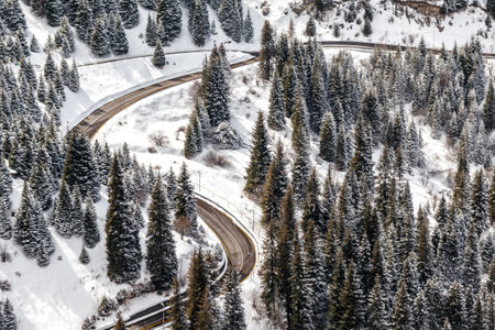 Top view of the serpentine road in the highlands.の写真素材