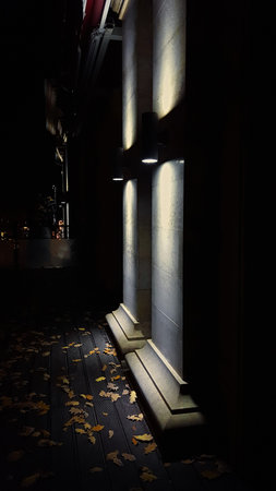 Illumination of the columns of a night building in early autumn.