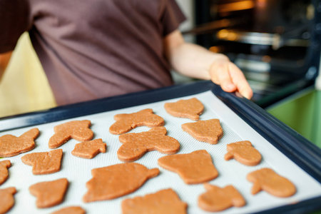 Homemade cookies of various shapes on a heat-resistant silicone mat on a baking sheet are going to...