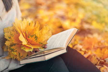 Close-up on a book and a yellow bouquet of autumn leaves in female hands. copy space.の写真素材