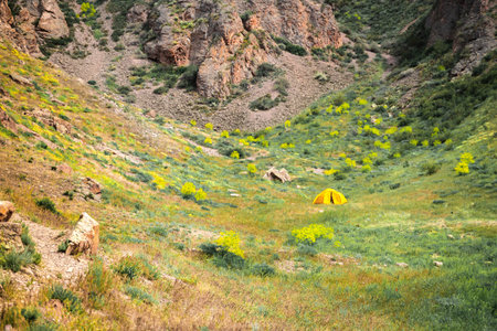 A small yellow tourist tent stands in a gorge, in harmony with the surrounding nature. Big copy space.の写真素材