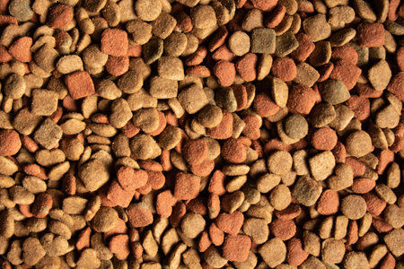 Dry colorful cat and dog food background, top view.