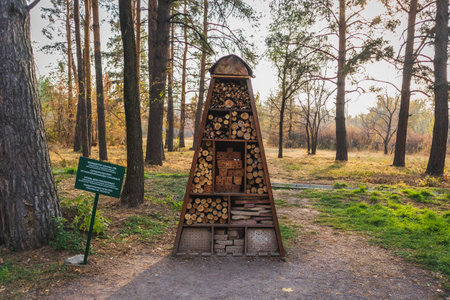 Home or hotel for different insects in the Main Botanical Garden in the city of Almaty in Kazakhstan. Almaty, Kazakhstan - October 16, 2022のeditorial素材