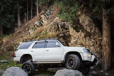 SUV with prepared suspension passes through a rocky forest.