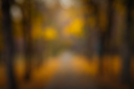 Blurred background from photo of autumn park alley at sunset.の写真素材