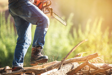 A closeup view of a person actively operating a powerful chainsaw in a serene and tranquil outdoor setting, copy space.の写真素材