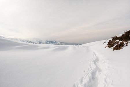 Hiking trail on a high-mountain winter plateau in the Almaty Mountains in winter, copy space.