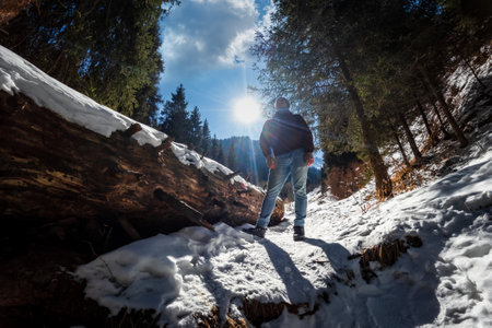 Man traveling along a hiking winter mountain forest trail in sunny day. Amazing nature of Central Asia, Kazakhstan.の写真素材