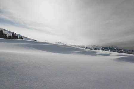 A freezing natural landscape with snowy slopes, trees in the foreground, and a mountain in the background under a cloudy skyの写真素材