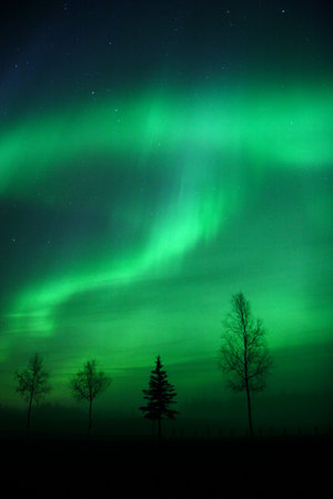 Aurora Borealis near Fairbanks, AKの写真素材