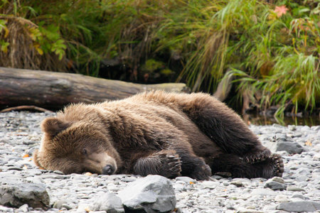 Whateverの写真素材