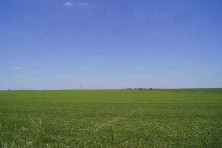 Clouds sky field grassの写真素材