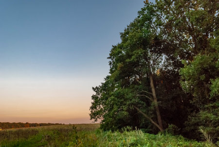 Natural parks and sky  in the evening.