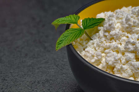 Close-up of a plate with cottage cheese decorated with herbs on the table.の写真素材