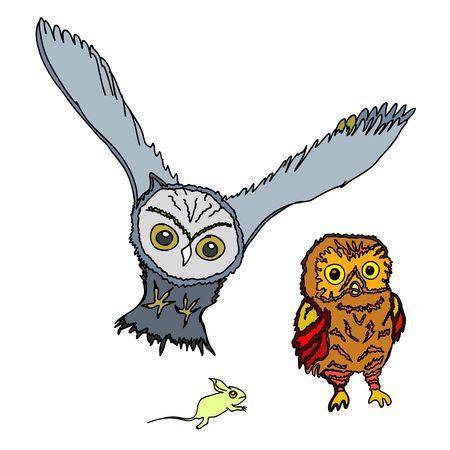  colorful birds, pink owl leavesのイラスト素材