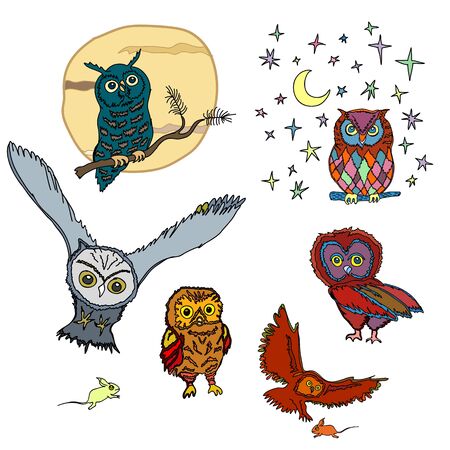 colorful birds, pink owl leavesのイラスト素材