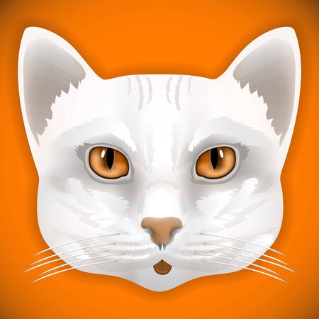 cat, face, eyes, vector, animal, cute, kitten, bow, hair, facial, portrait,のイラスト素材