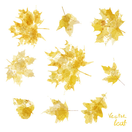 Vector watercolor autumn leaves maple leaf art floraのイラスト素材