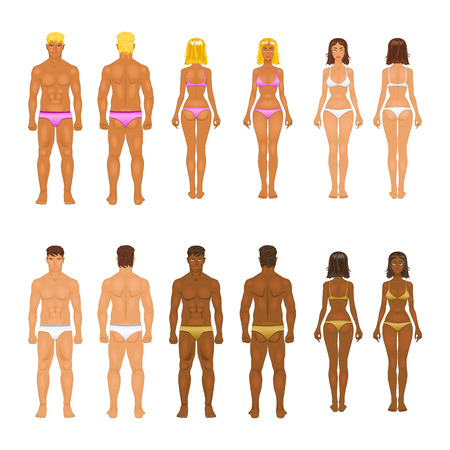 vector dolls, young woman and guy in underwear. Body templatesのイラスト素材