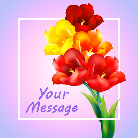 tulip flower design background floral card artのイラスト素材