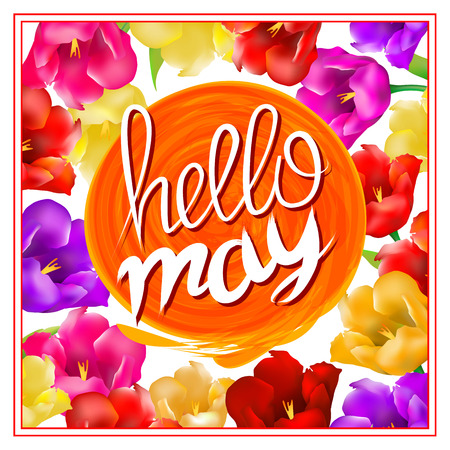 lettering hellow may. sun orange. background with colorful flowers tulip isolated on white background. Vector EPS10. artのイラスト素材