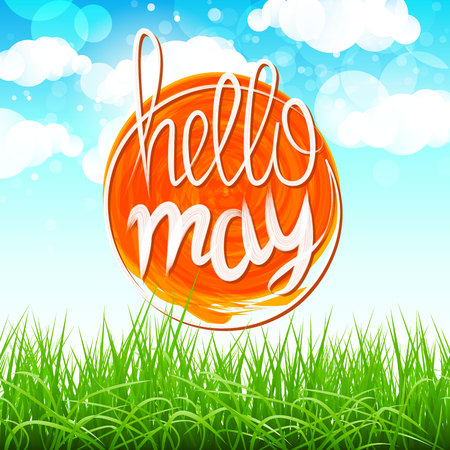 vector Summer Background With Sun, Grass, Flower And Butterflies artのイラスト素材