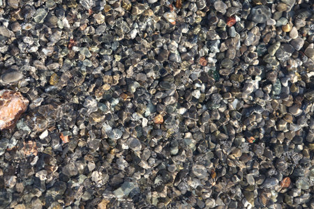 Wet rocks background