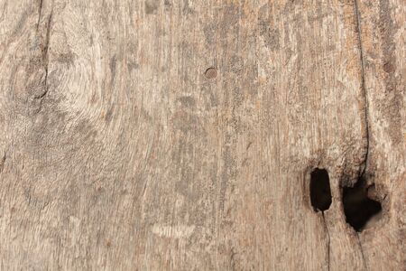 wood groundの写真素材