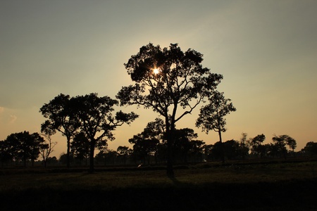 sunsetの写真素材