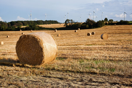 Beautiful golden landscape, Germany with wind turbinesの写真素材