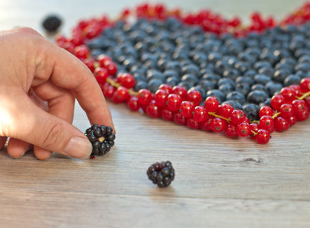 Berry heart of blueberry currant and hand holding blackberry