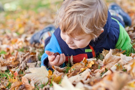 Little toddler boy in autumn park with foliage and chestnutの写真素材
