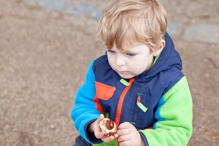 Adorable toddler boy in colorful jacket outdoor with chestnut in handの写真素材