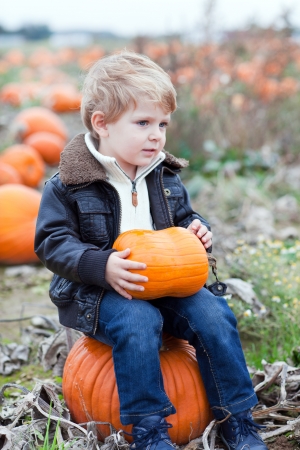 Happy little toddler boy on pumpkin field on cold autumn dayの写真素材