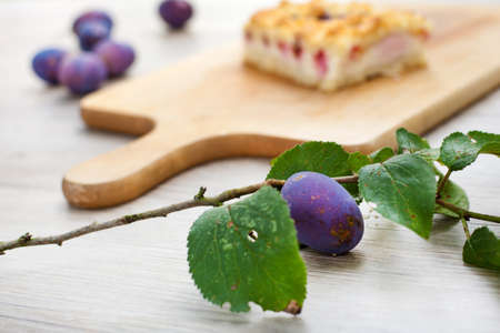 Ripe plums and fresh baked prune cake on wooden table in summer gardenの写真素材