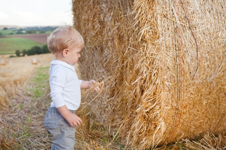 Little toddler baby boy on gold straw field in summerの写真素材