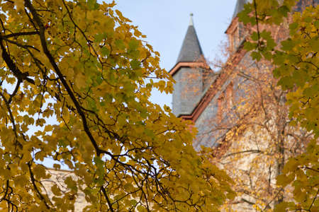 Yellow maple trees in park in Germany with castle in backgroundの写真素材