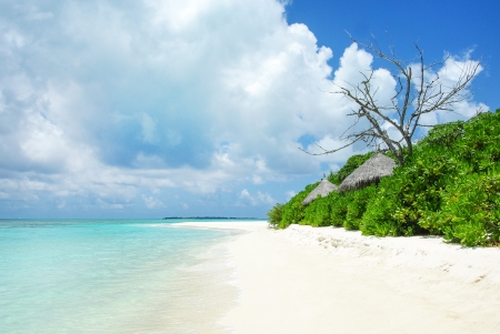 Beach with white sand on beautiful tropical island in Indian ocean, Maldivesの写真素材