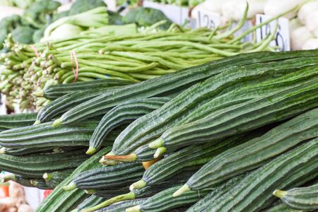 Fresh healthy bio cucumber on German farmer agricultural marketの写真素材
