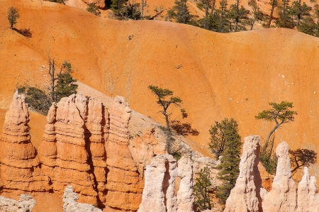 Great spires carved away by erosion in Bryce Canyon National Park, Utah, USA.の写真素材