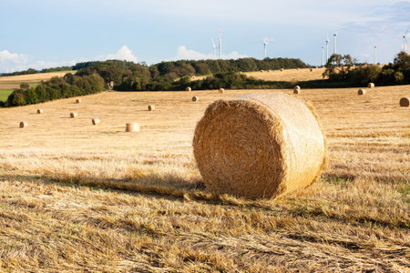 Hay bales on the field after harvest with wind turbines, Germany