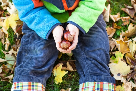 Little toddler boy having fun in autumn park with foliage and chestnutの写真素材