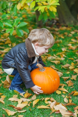 Little toddler boy with big orange pumpkin in autumn gardenの写真素材
