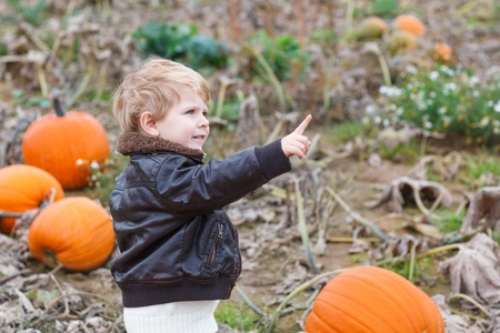 Happy little toddler boy having fun on pumpkin field on cold autumn dayの写真素材