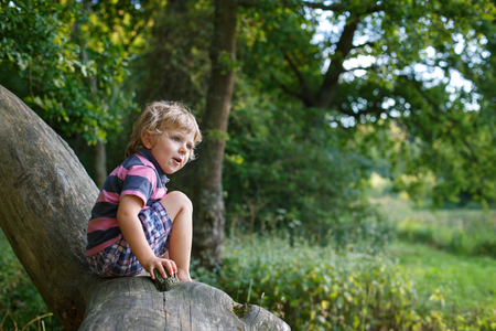 Little cute toddler boy having fun on tree in summer forestの写真素材