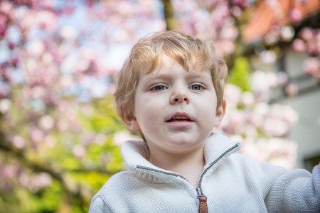 Portrait of little boy with flowering magnolia tree on backgroundの写真素材