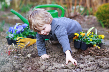 Little boy gardening and planting vegetable plants and flowers in garden, outdoorsの写真素材